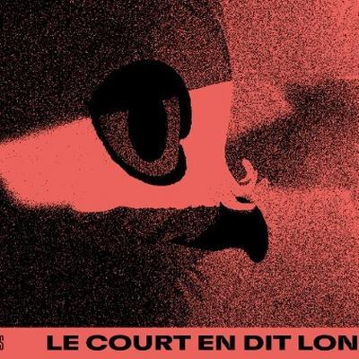 Cinéma et Art vidéo, Festival Le Court en dit long