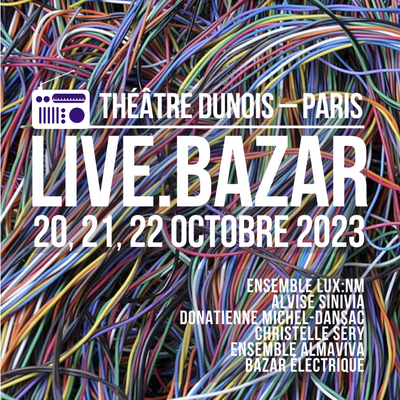 Bazar électrique