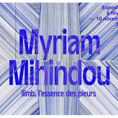 Expositions temporaires : La réserve des non-dits, Myriam Mihindou