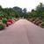 Les Mini-jardins® Connectés Au Parc De La Tête D'or