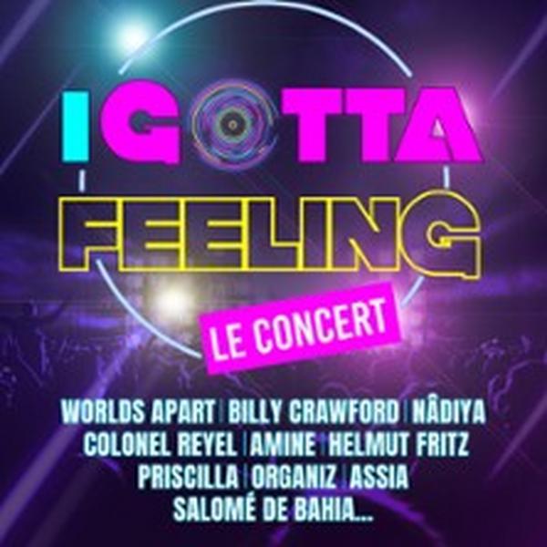 I Gotta Feeling, Le Show 100% Années 2000