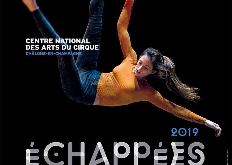 Spectacles de rue et cirque à Chalons en Champagne en 2019 et 2020
