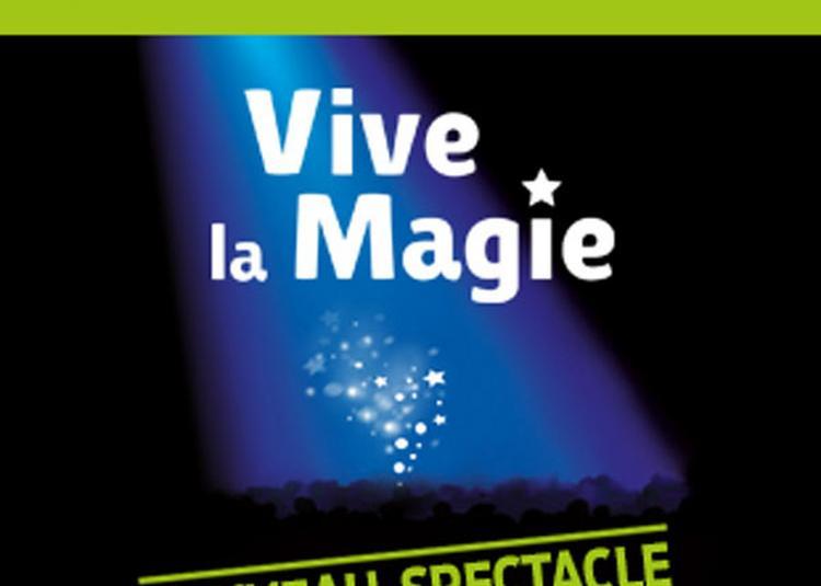 Fest. International Vive La Magie à Vannes