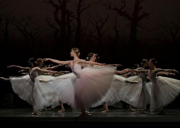 Giselle, Ballet Du Capitole De Toulouse à Orange