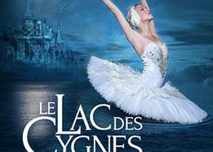 Le Lac Des Cygnes à Lyon