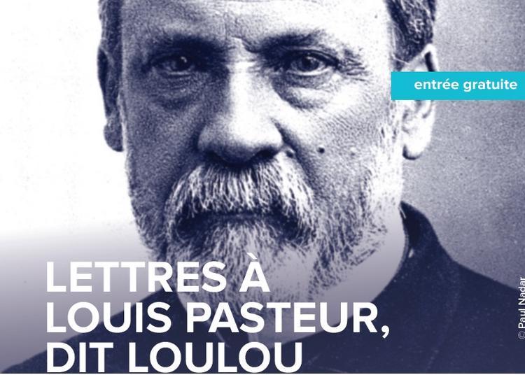 Lettres à Louis Pasteur, dit Loulou à Avignon