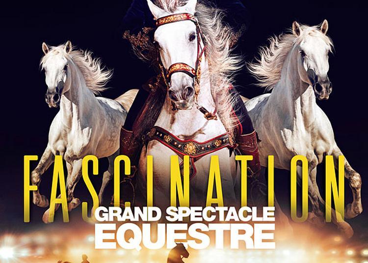 Vianney - Parc Expo De Tours Grand Hall 26 Mars
