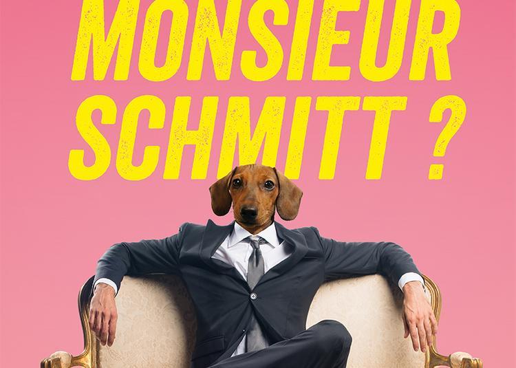Qui Est Monsieur Schmitt Theatre Edouard 7