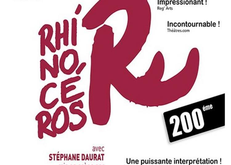 Rhinoceros - La Nouvelle à Paris 4ème