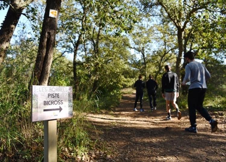 Visite Commentée Le Parc Naturel Communal Des Borrels à Hyeres