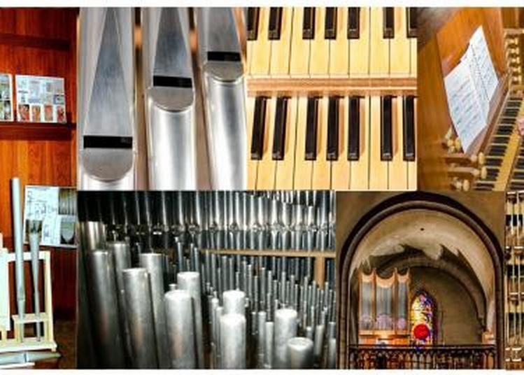 Visite guidée de l'orgue à Bort les Orgues