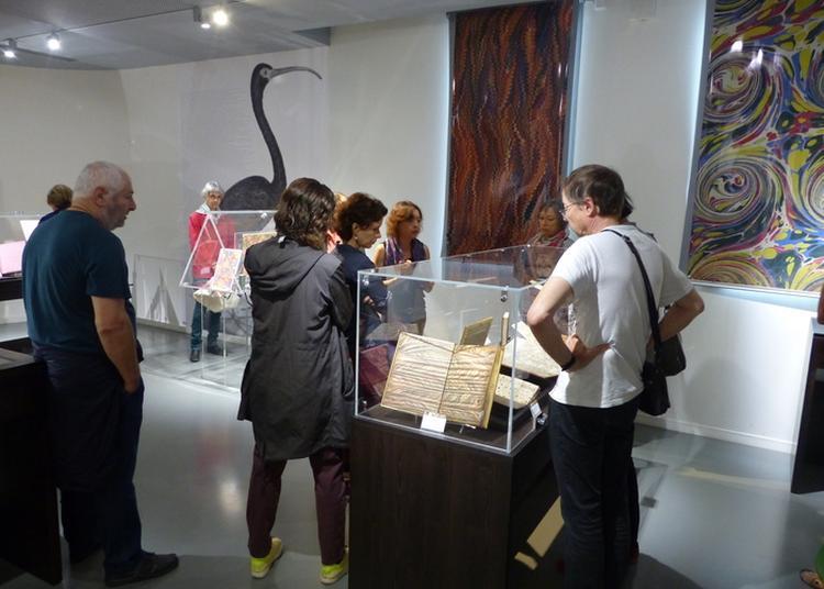 Visite Guidée Des Collections Et Des Expositions Temporaires à Lunel