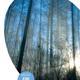 There is some beauty in everything and everywhere par Berend Boornenbal