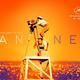 Festival de Cannes 2019