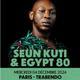 Seun Kuti et Egypt 80