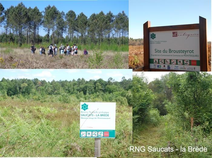 Exposition Découvrez le patrimoine géologique et biologique de cette réserve naturelle à Saucats Exposition Découvrez le patrimoine géologique et biologique de cette réserve naturelle à Saucats