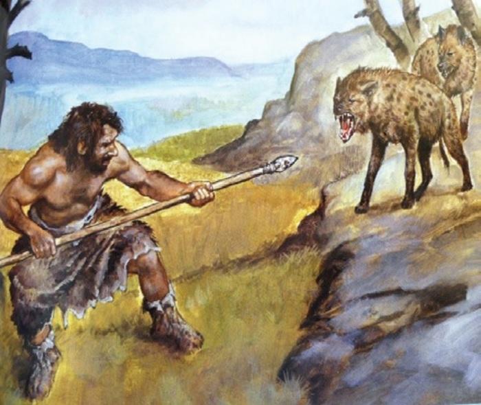 Pourquoi Les Hommes Préhistoriques Peignaient-ils Des Animaux