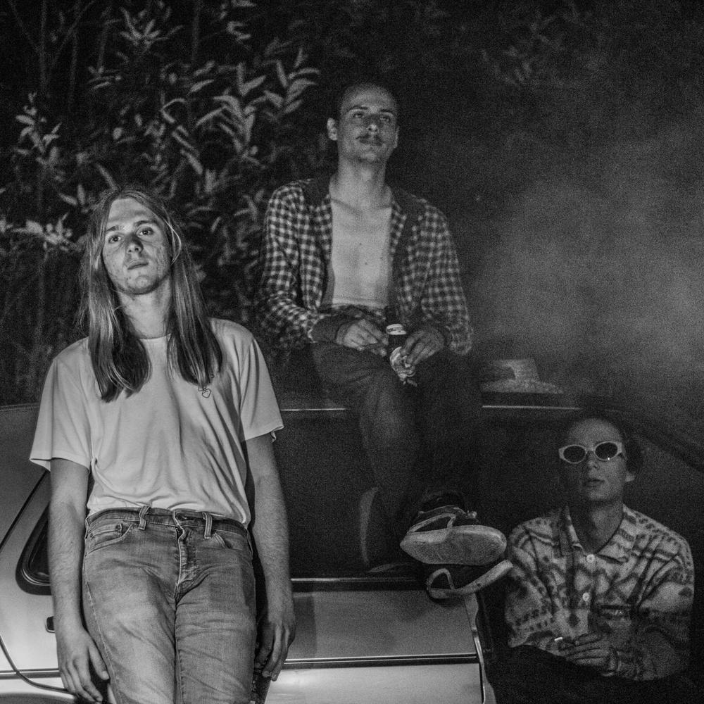 Concert Last Night We Killed Pineapple + Rougemont + Acid Gras a Paris ...