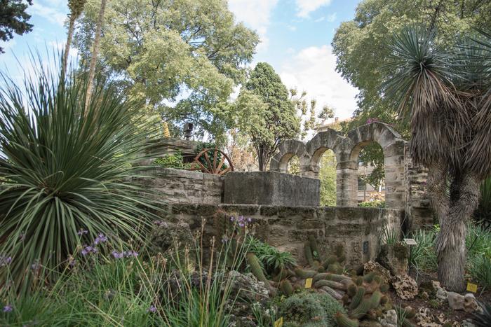 Exposition Profitez De Visites Guidées Thématiques Du Plus Vieux Jardin