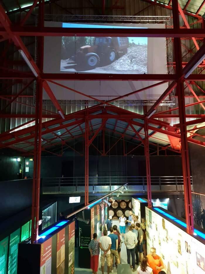 Exposition Visite De La Saga Du Rhum à Saint Pierre - Samedi 13 Mai 2023